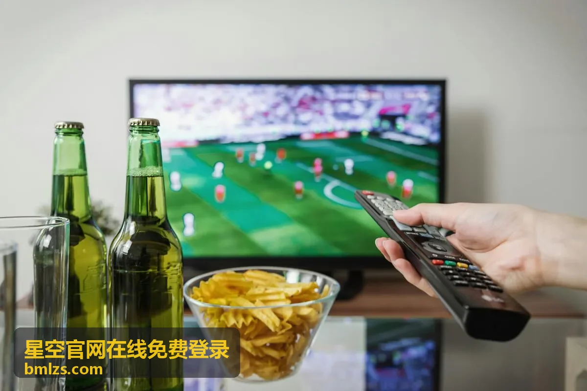 星空官网在线免费登录分会场 B2 圆桌讨论配图