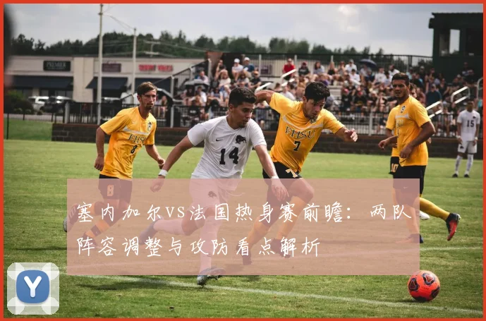 塞内加尔vs法国热身赛前瞻：两队阵容调整与攻防看点解析