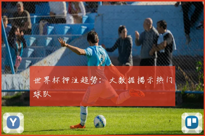 世界杯押注趋势：大数据揭示热门球队