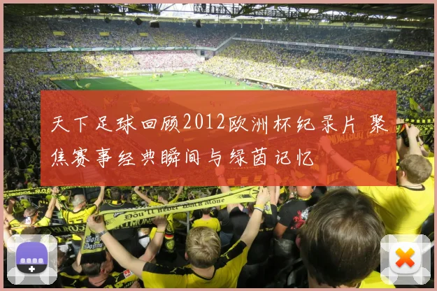 天下足球回顾2012欧洲杯纪录片 聚焦赛事经典瞬间与绿茵记忆