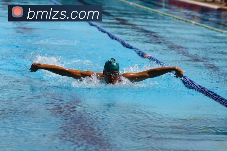 世界杯网上购票平台平台生态图